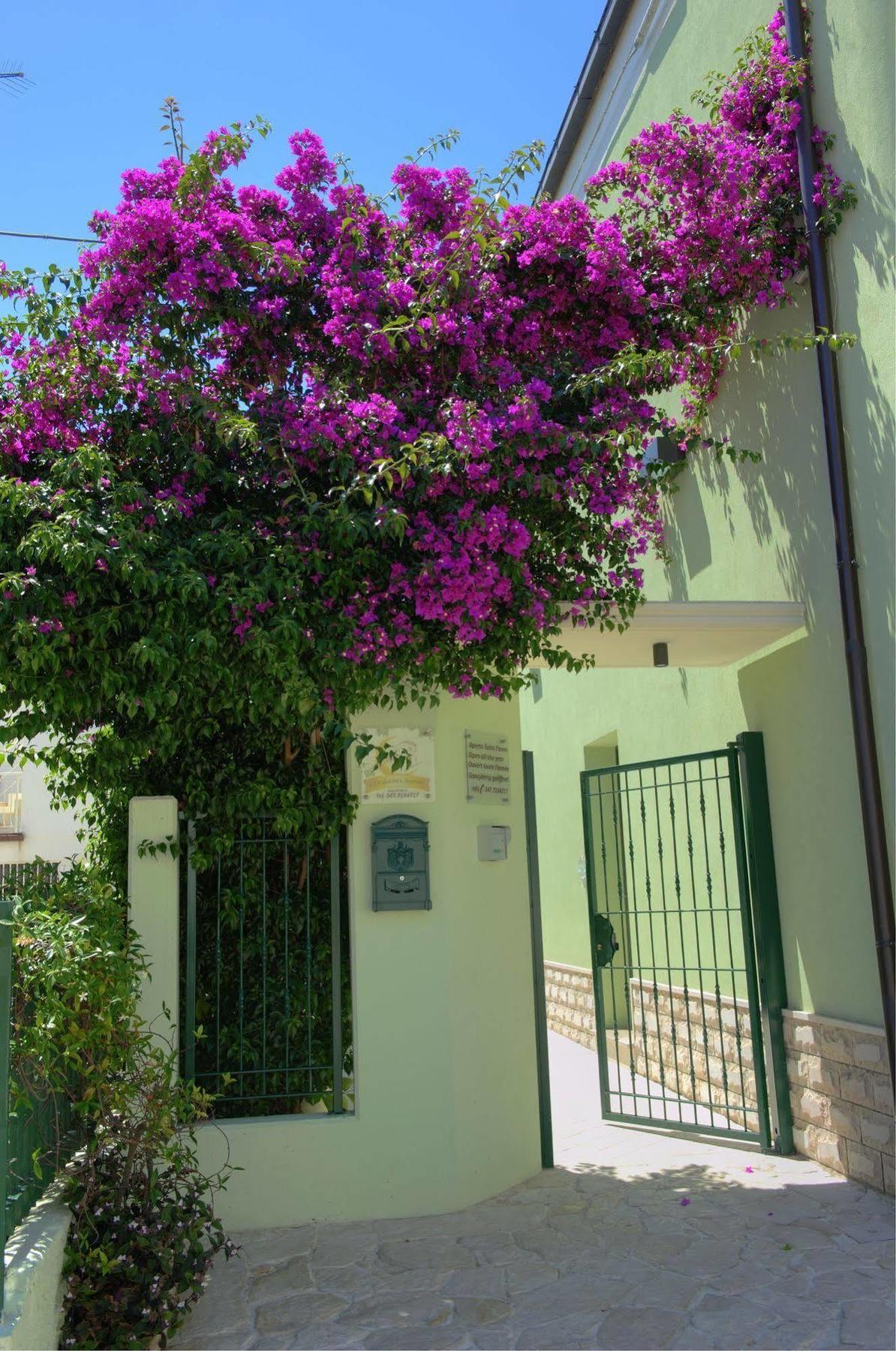La Casa Del Nonno Bed & Breakfast Campomarino  Ngoại thất bức ảnh